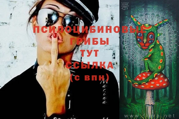 дмт Горнозаводск