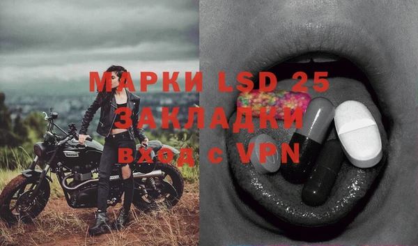 дмт Горнозаводск