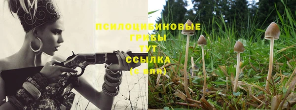 ALPHA PVP Горняк