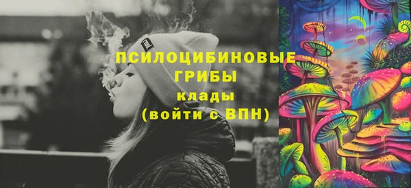 дмт Горнозаводск